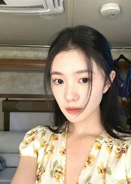 刘浩存九宫格自拍##刘浩存碎花裙少女