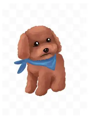 的黄皮泰迪小型犬卡通手绘基础可爱泰迪狗手绘卡通形象精选棕色泰迪