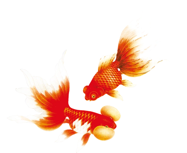 【转载】《透明飞禽走兽》〖免抠png素材〗【适合ps画音贴图制作】