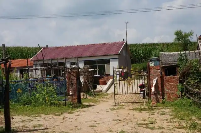 农村房屋迎来新变革这几类人趁早做打算能领取一笔补贴