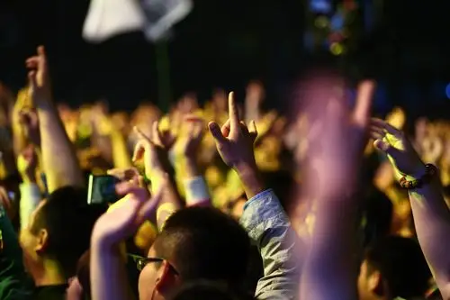 草莓音乐节14年郑州现场