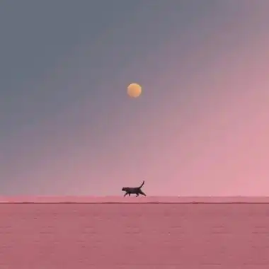 中年人微信头像风景或花草