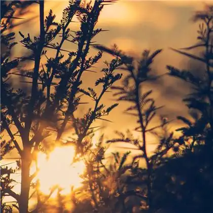 风景头像好看 精选好看的风景头像高清图片_风景头像_头像屋