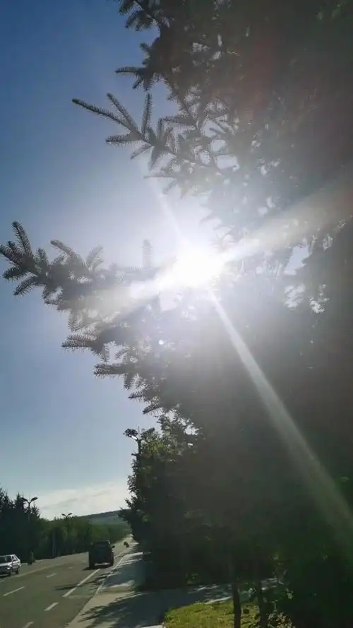 愿你眼中有光,活成自己的模样