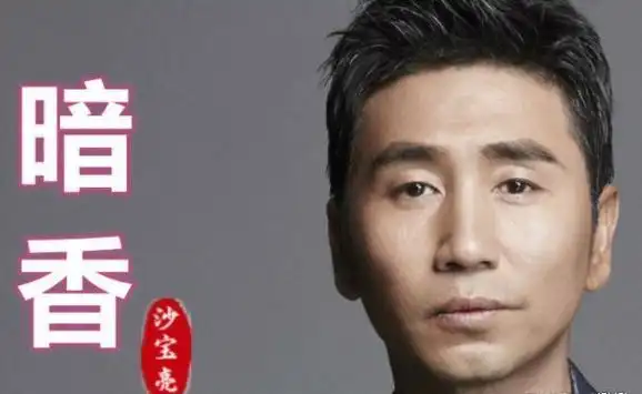 《暗香》这首歌一直以来都是沙宝亮的代表作之一,深受大家喜爱.