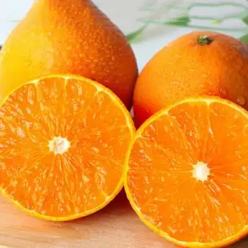 采缇 正宗爱媛果冻橙38号柑橘橙子大果 现摘新鲜孕妇水果5斤整箱10 5