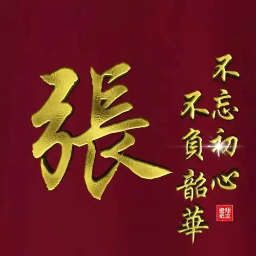 2020张氏头像女性