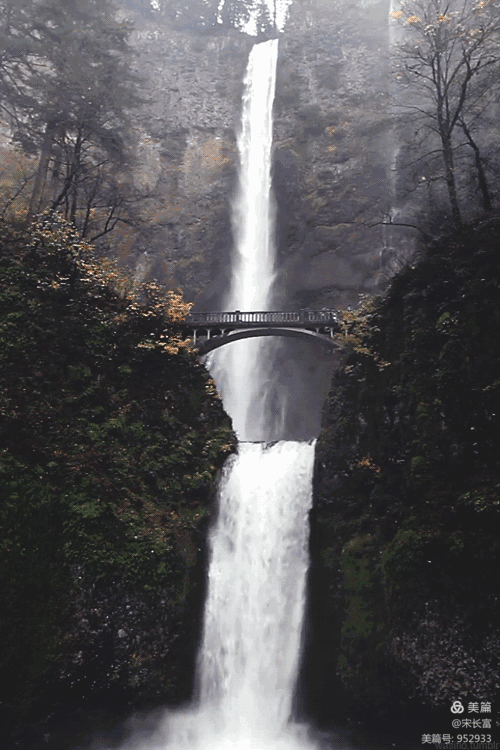 绝美的动态风景图片