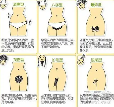 私处为什么会长阴毛?女人阴毛的作用