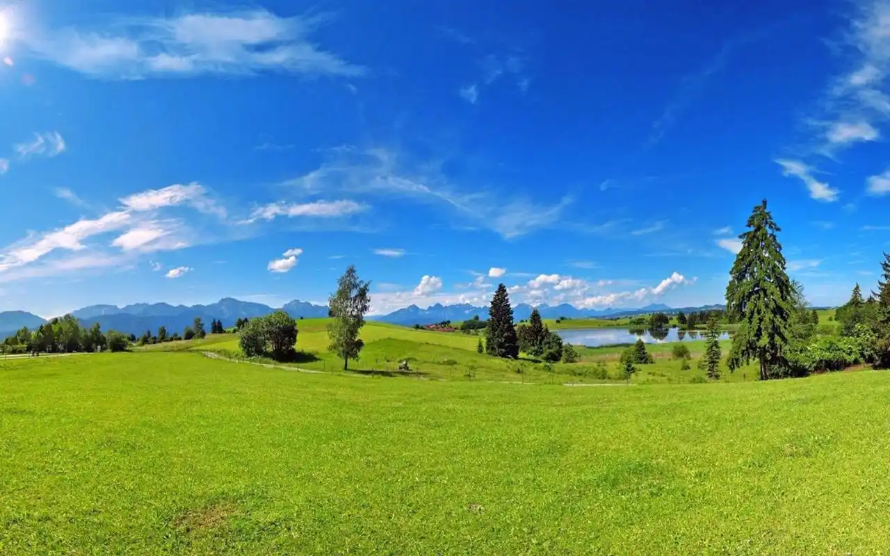 高清护眼绿色草原图片桌面壁纸_风景壁纸_壁纸下载_美桌网