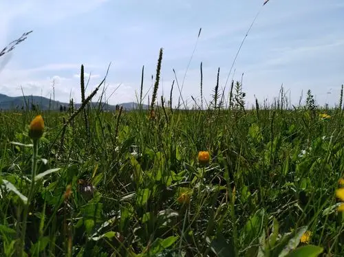 河北省张家口市沽源县闪电河乡闪电河风光园天气预报