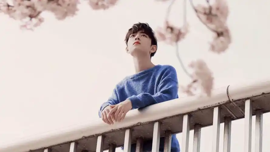 肖战- 堆糖,美图壁纸兴趣社区