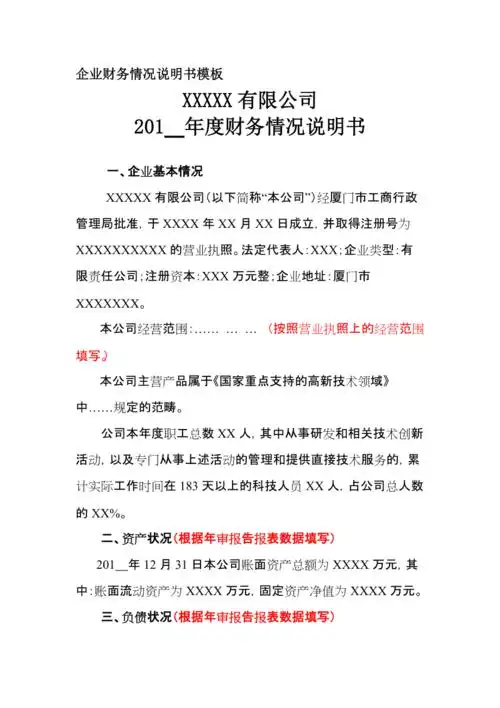 企业财务情况说明书模板