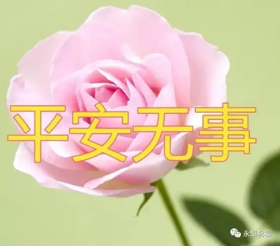 今天是平安吉祥日一首祝你平安送给你打开一生平安