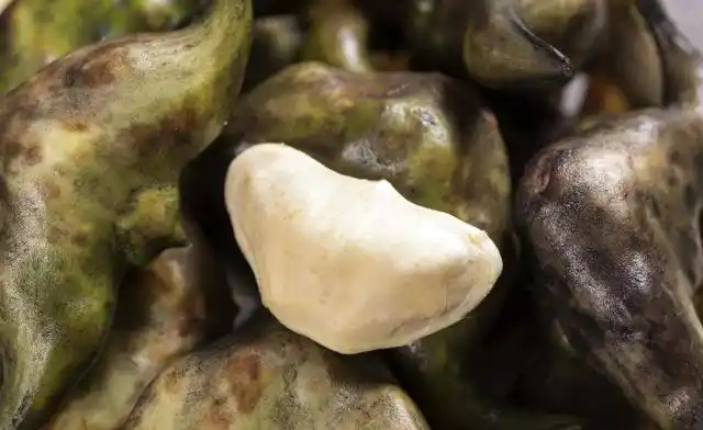 舌尖上的文玩菱角,即可把玩又能防身,可谓一箭三雕!