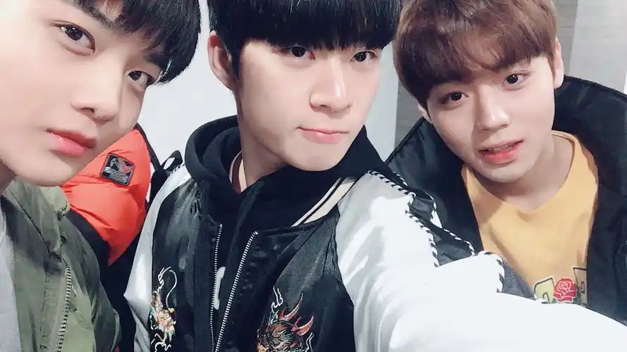 男版produce101 朴智勋/朴志训 裴珍映/裴振英 边贤珉