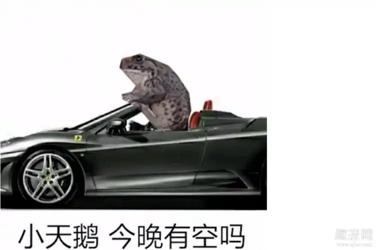 小天鹅今晚有空吗什么意思什么梗 小天鹅今晚有空吗高清表情包分享