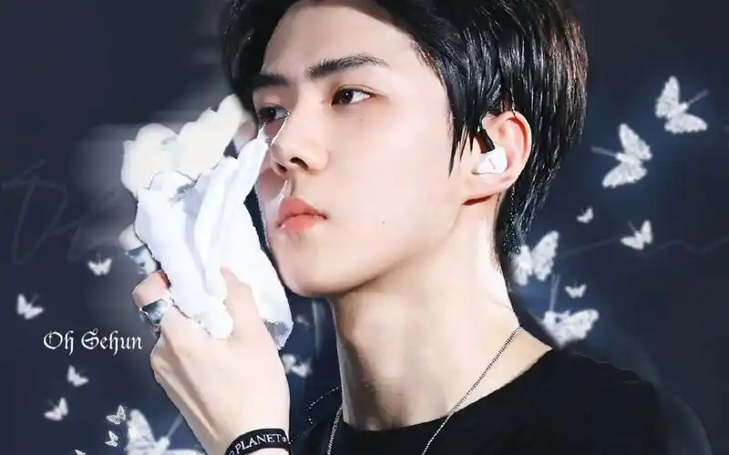 【吴世勋出圈动图】可a可奶的勋勋谁不爱