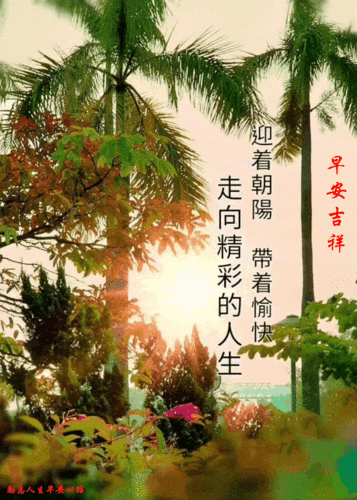 640_896竖版 竖屏gif 动态图 动图