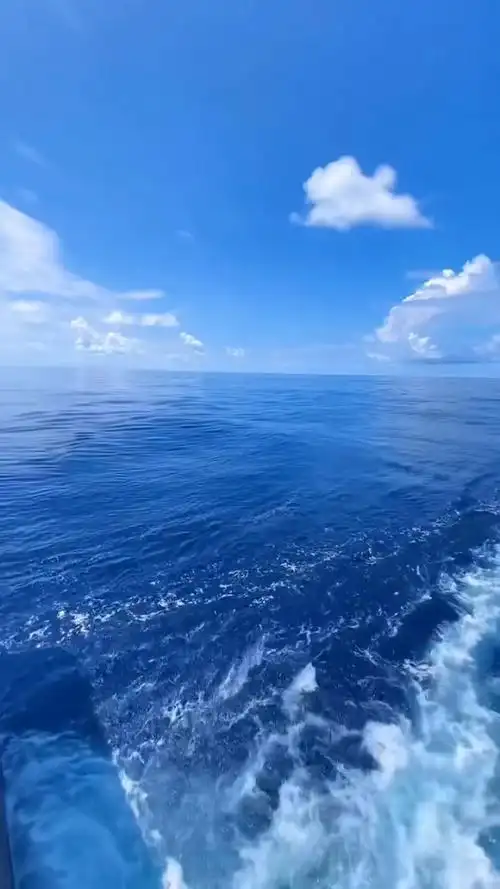 南太平洋的海—珊瑚海98