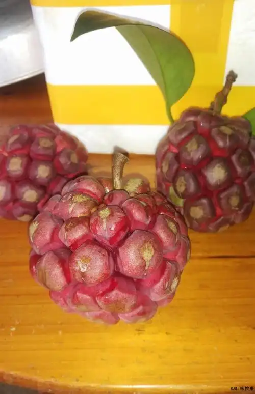 玫栀 黑老虎布福娜果水果恶魔果实新鲜罕见稀有当季稀奇尝鲜 3斤