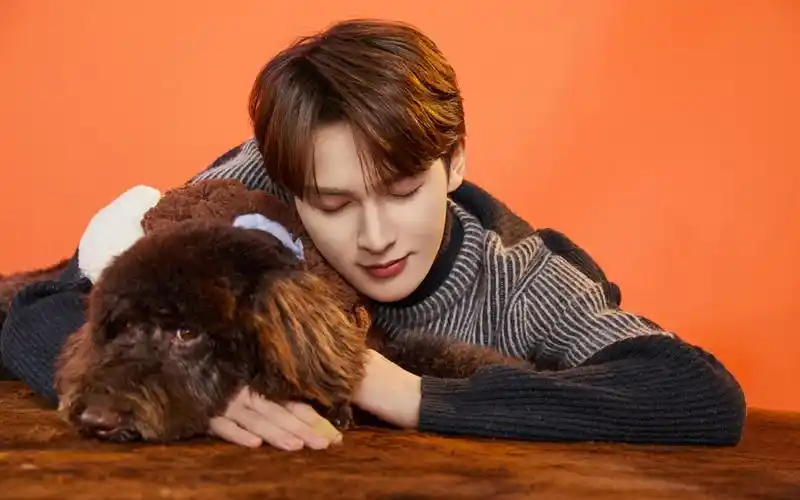 电脑壁纸 明星 大陆明星 朱正廷与宠物的日常照