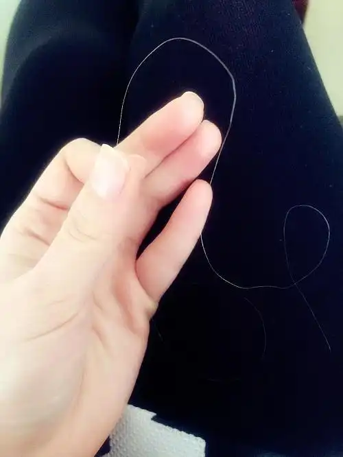 我你是男是女好吗)2015-02-24 21:35:46 标题:今天揪出了一根白发(  )