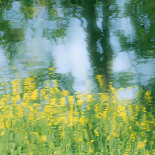 #文案##绿色##朋友圈背景图##朋友圈文案##朋友圈分享