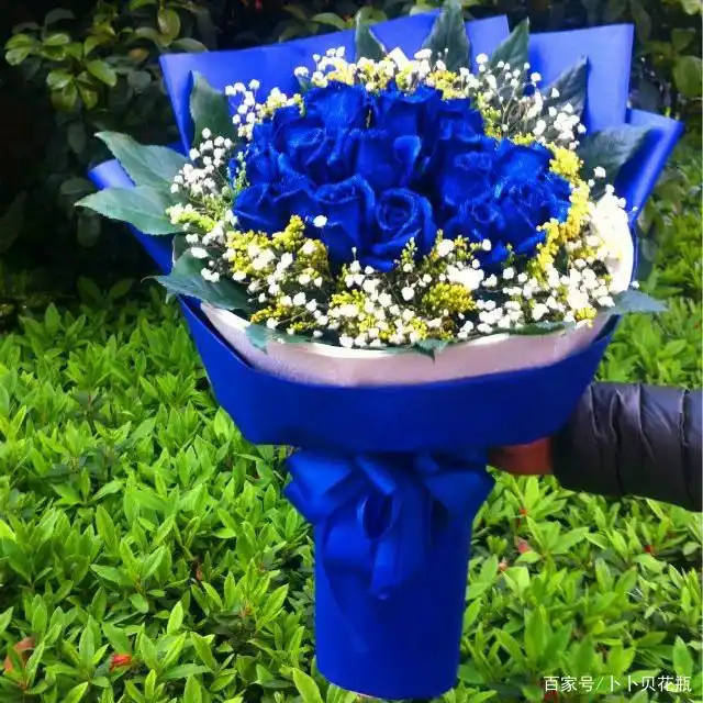 2021蓝色玫瑰图片大全唯美,蓝色妖姬花束真实照片