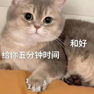 小猫咪想你了