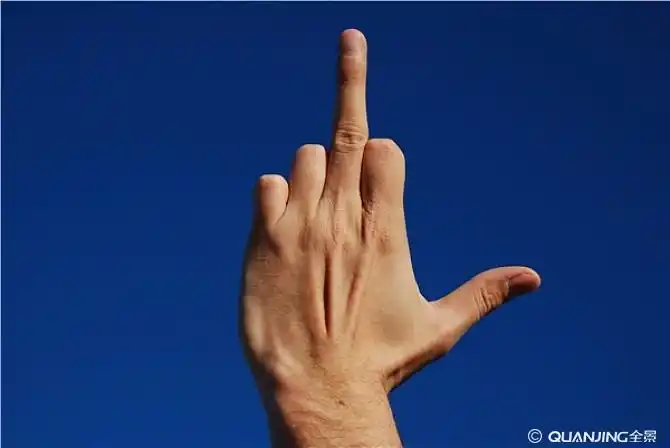 手指图片_图片大全