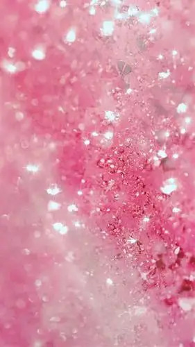 【粉色系壁纸】白白胖胖,脱单无望.