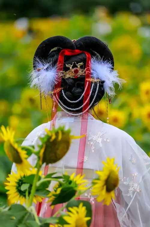 汉朝蝴蝶头饰(摄于2020.10.9)