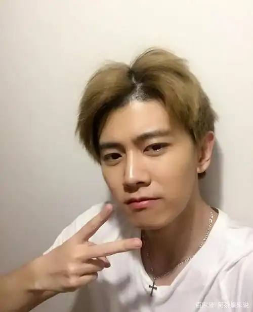 任嘉伦早期是杀马特tony老师,英年早婚挡不住大火