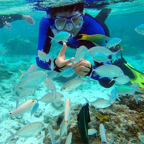 海南三亚一日游分界洲岛潜水深潜浮潜纯玩自费境内跟团游