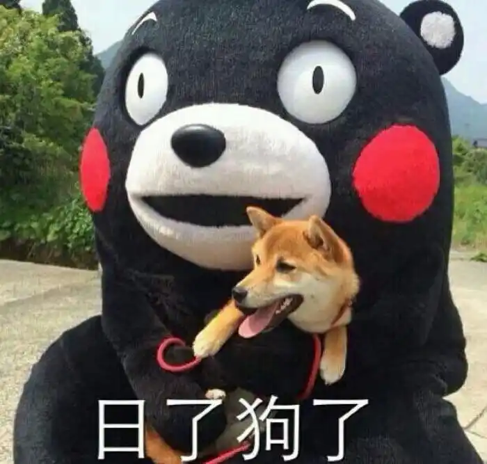 熊本熊 表情包-堆糖,美好生活研究所