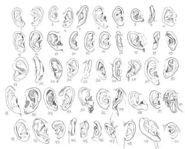 不同星座耳朵的位置形状与性格之间有什么关系呢