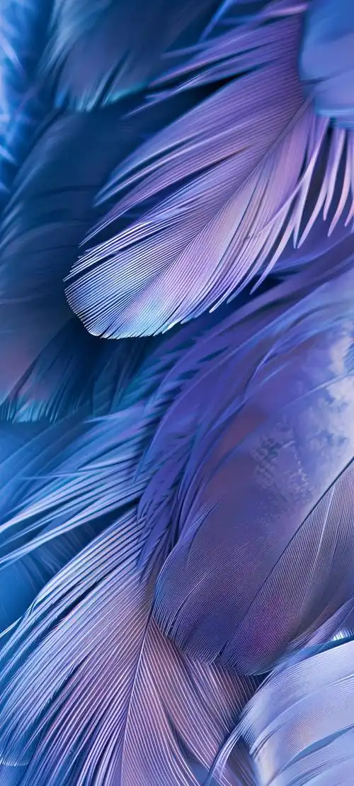 手机壁纸极简纯净高清壁纸图片无水印保存下载