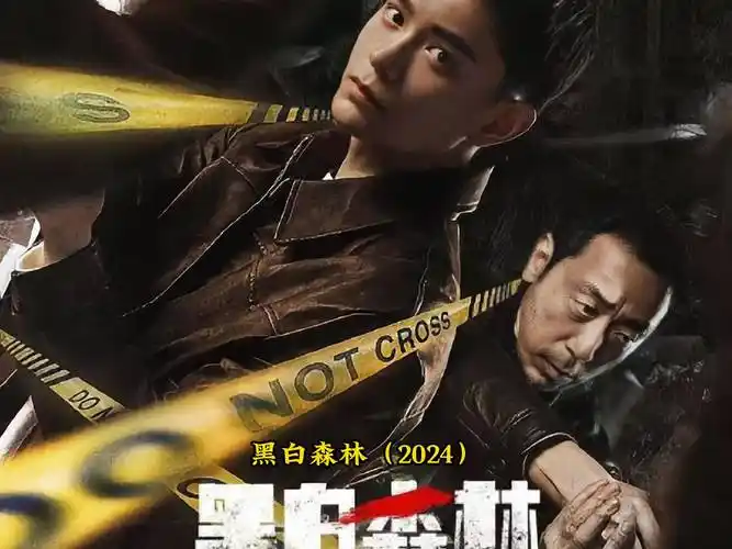 黑白森林(2024)_丁禹兮_宁理_剧情