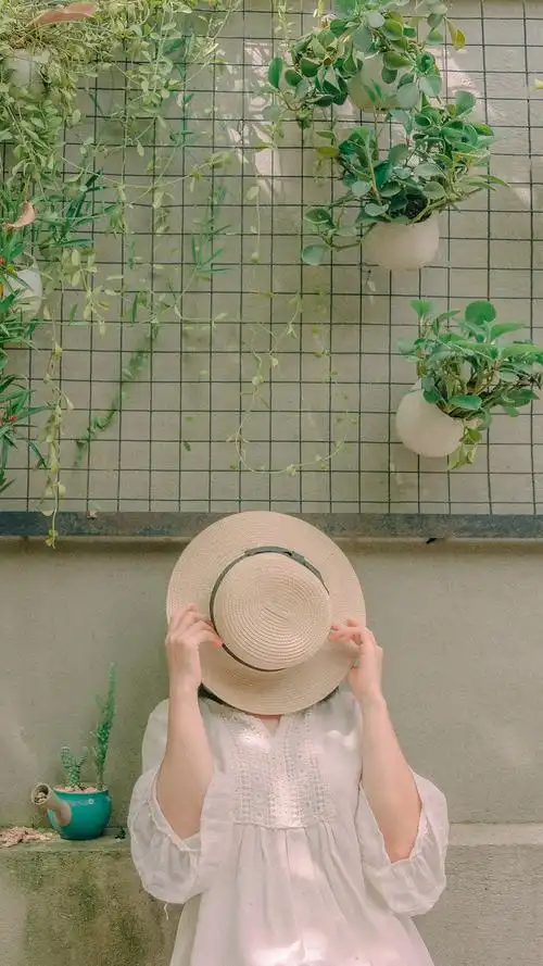 小清新风景高清无水印手机壁纸