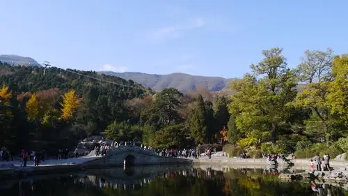 2013年11月4日 香山公园图片771,北京市旅游景点,风景名胜 - 蚂蜂窝