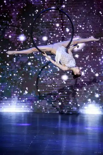 2019年第十三届全国钢管舞锦标赛(一) ( 摄影徐铁)