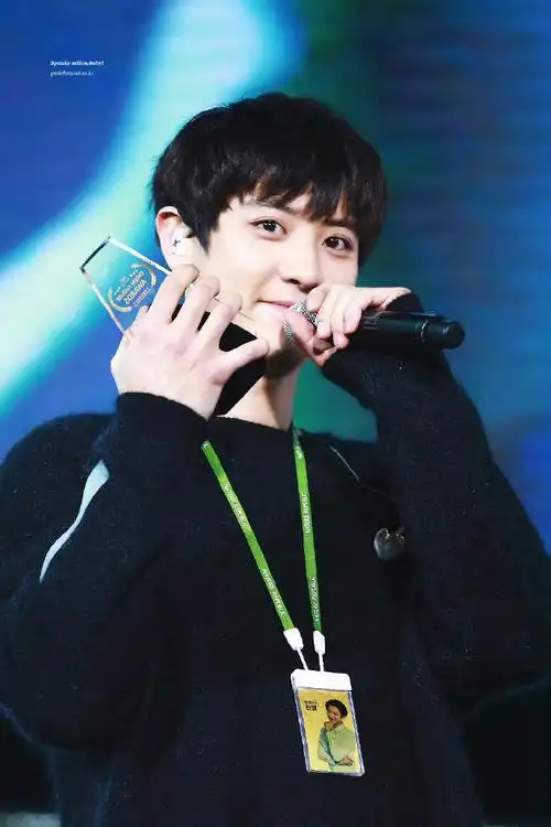 朴灿烈头像##朴灿烈生图