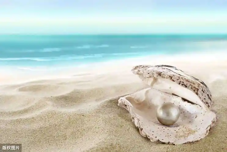 描写形容珍珠的唯美短句(9句有关于珍珠的经典诗句)