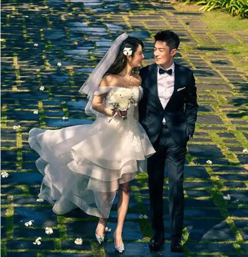 明星婚纱照图片大全明星的婚纱照好不好看