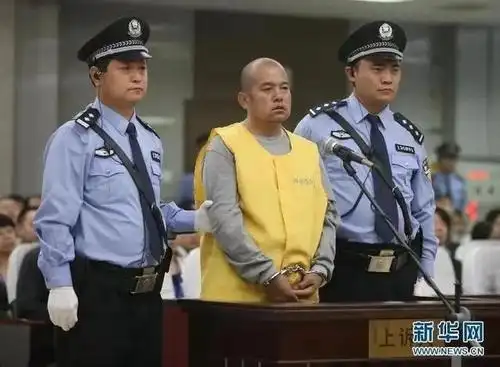 罪犯王书金被执行死刑