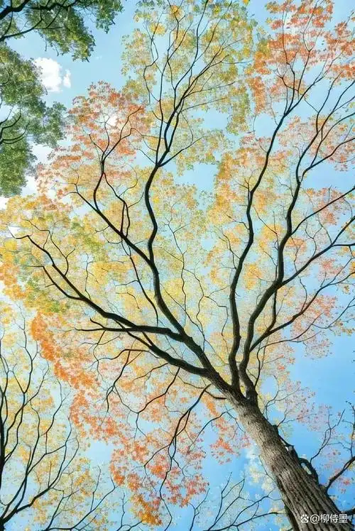 风景照片拍出艺术感,这5个摄影技巧,简单易学又好看