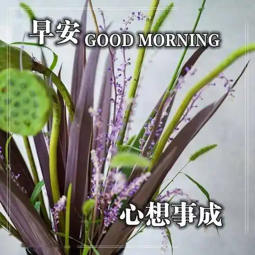 早上好问候语带图片早安祝福语温暖表情图片