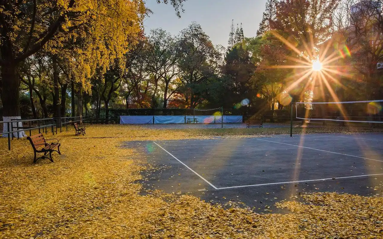 午后的大学校园唯美摄影高清壁纸