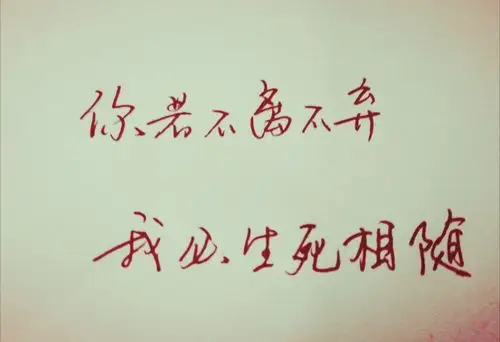 你若不离不弃,我必生死相随